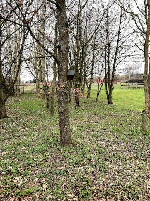 Apartamento The Woodland Wyboston Exterior foto